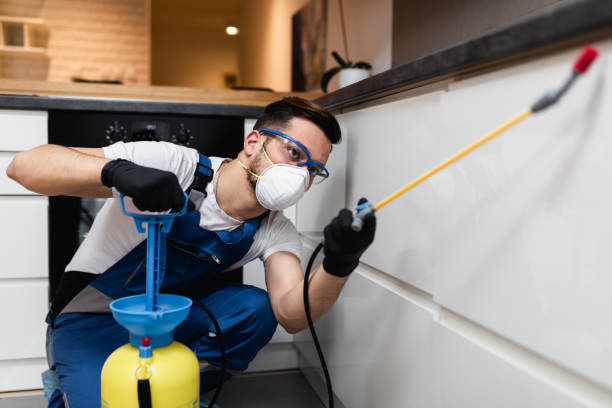 Best Pest Control Near Me  in Forest Park, GA