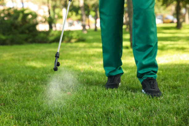 Best Local Pest Control Services  in Forest Park, GA
