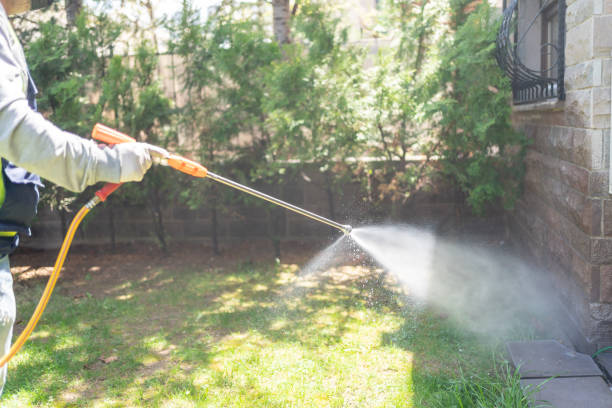 Best Pest Inspection Near Me  in Forest Park, GA