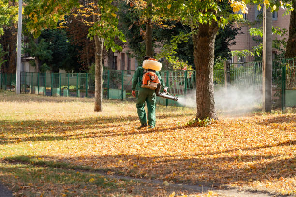 Best Affordable Pest Control Services  in Forest Park, GA
