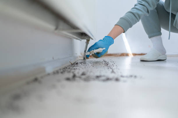 Best Rat Extermination Near Me  in Forest Park, GA